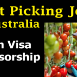 Fruit and Potato Picking jobs in Australia